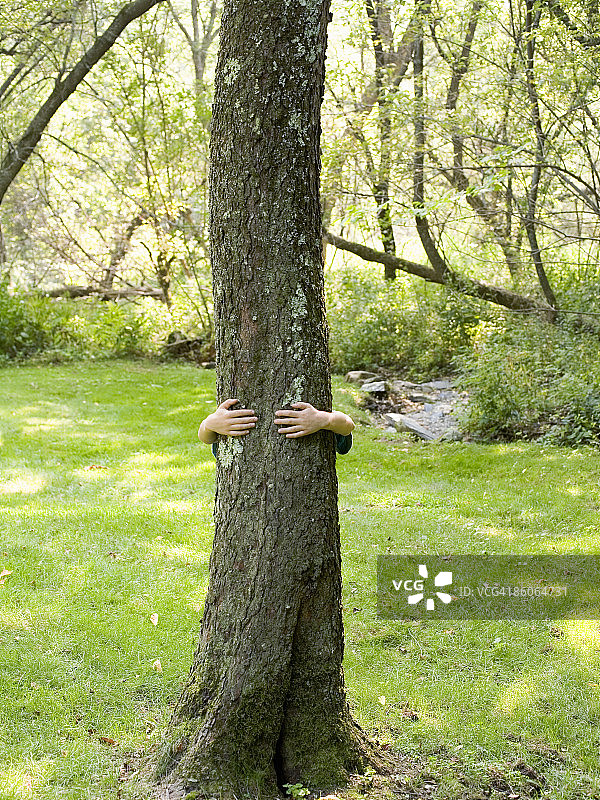 躲在树后的孩子图片素材