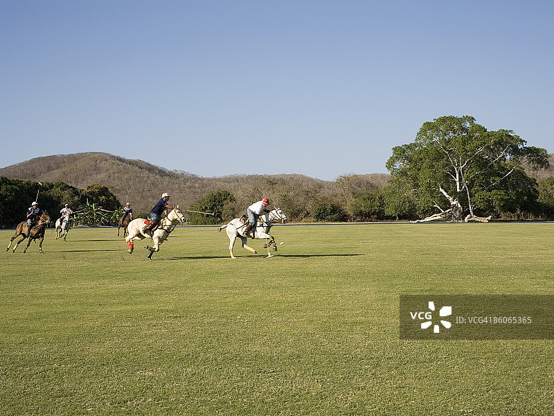马球，蓬塔卡雷耶斯，墨西哥图片素材