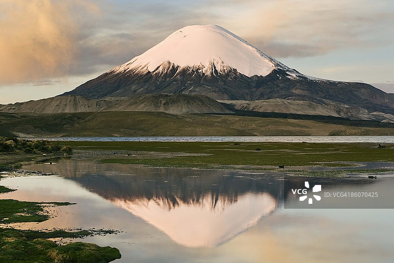 智利仲加拉湖中倒映的帕里纳科塔火山图片素材