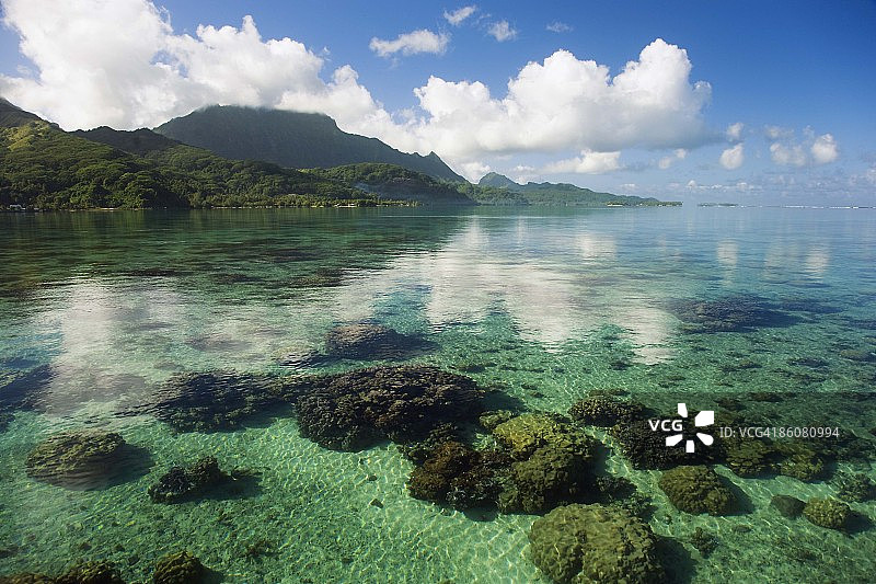 法属波利尼西亚赖阿特阿岛的热带海洋珊瑚礁图片素材