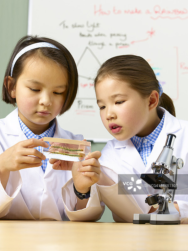 8岁混血女学生学习图片素材