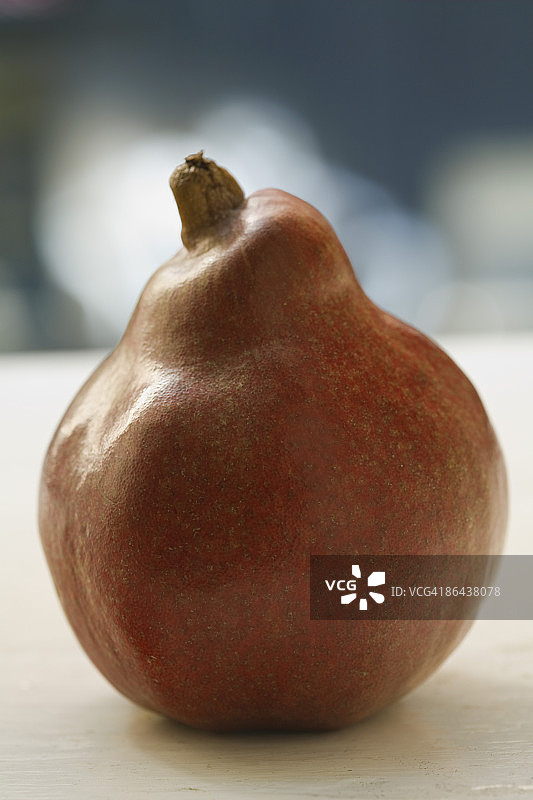 红色安茹梨图片素材