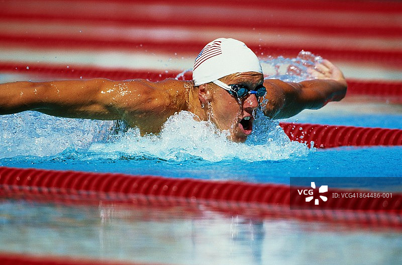 在游泳池里做蝶泳的游泳者图片素材