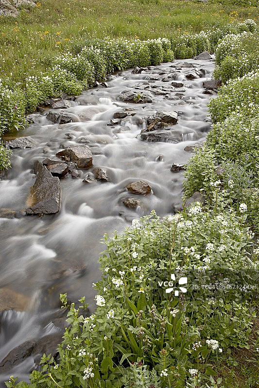 美国科罗拉多州圣胡安国家森林溪流图片素材