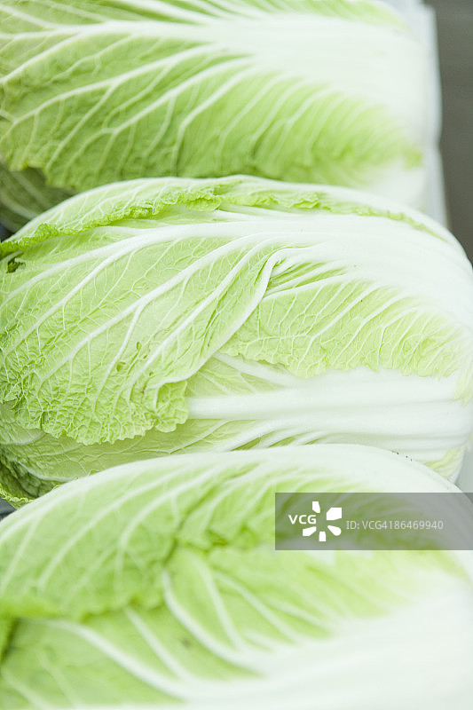 三棵大白菜图片素材