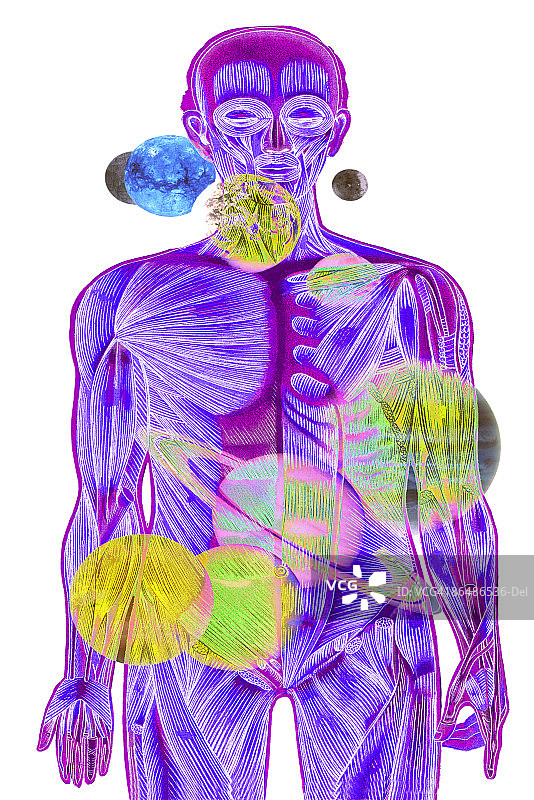 具有行星的人体肌肉结构图片素材