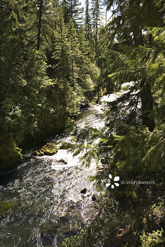 穿过森林的河流图片素材