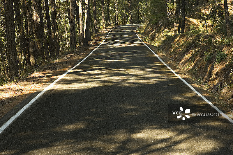 穿过森林的道路图片素材