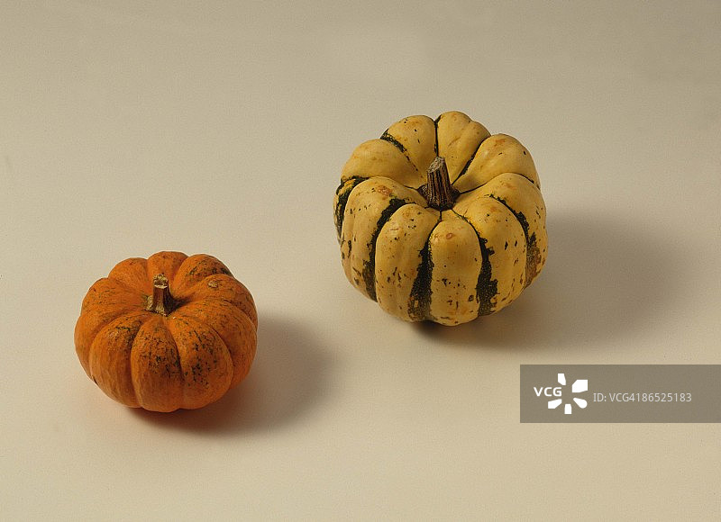 迷你南瓜图片素材