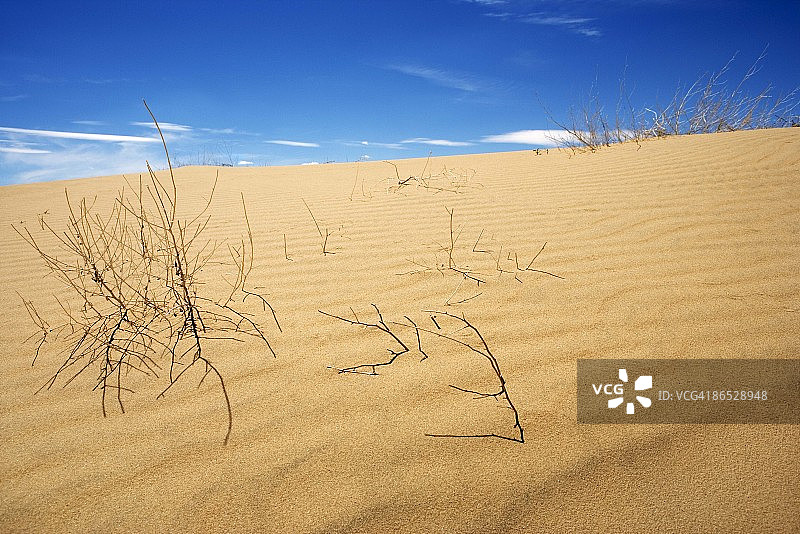 沙漠沙丘图片素材