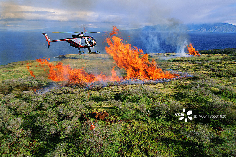 飞越森林火灾的直升机图片素材