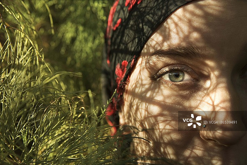 女子在灌木丛中窥视图片素材