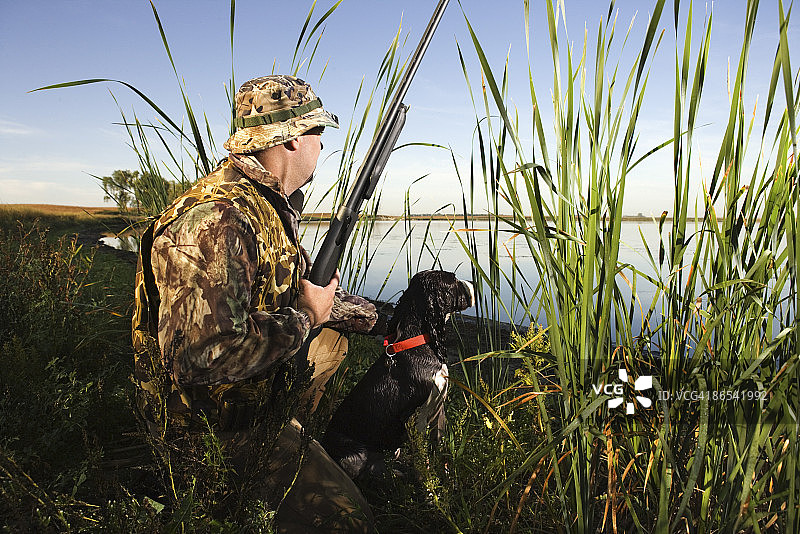 猎人与猎狗藏在芦苇丛中图片素材
