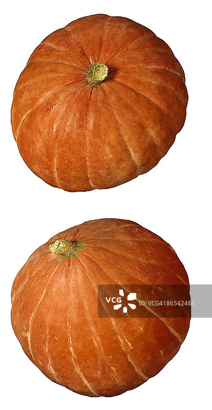 甜妈妈南瓜图片素材