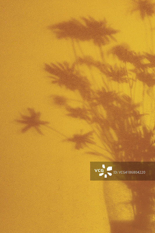 花瓶中花的剪影图片素材