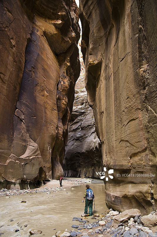 徒步者在犹他州锡安国家公园的狭缝型峡谷中跋涉图片素材