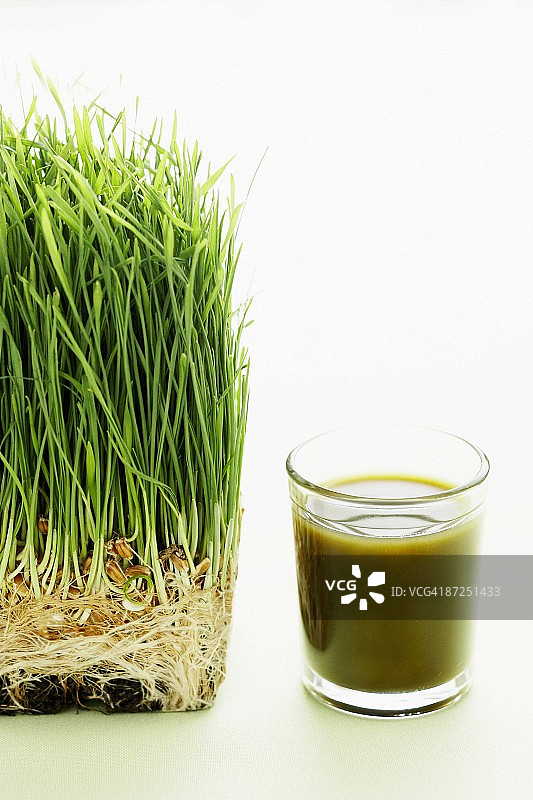 小麦草的镜头图片素材