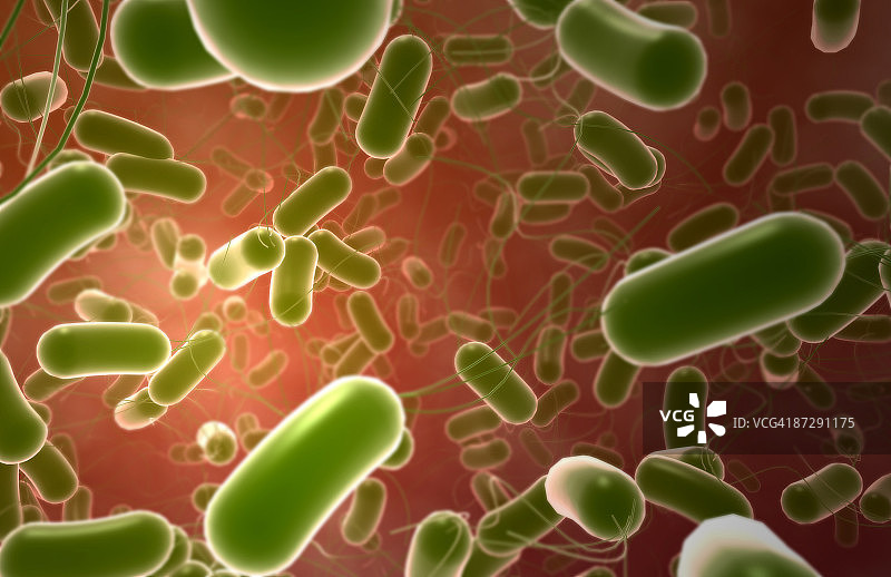 沙门氏菌图片素材
