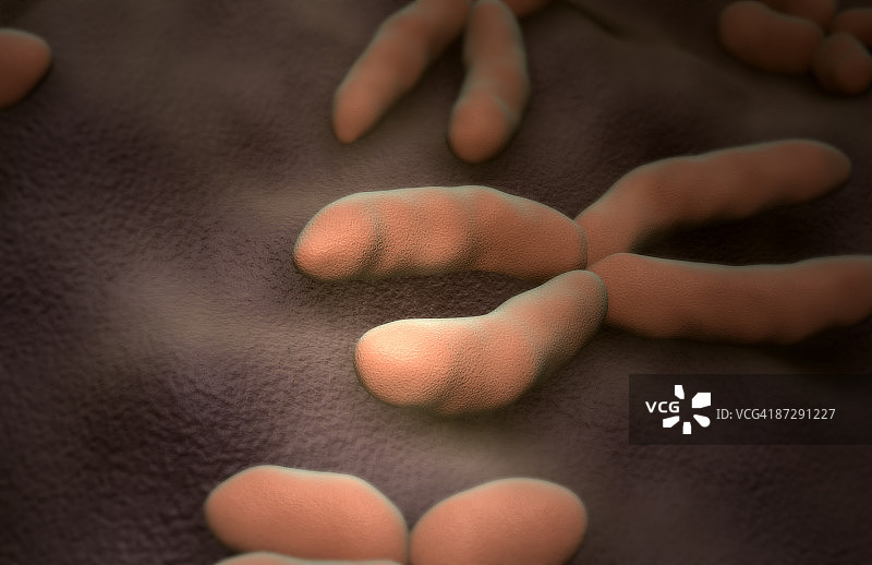 染色体图片素材