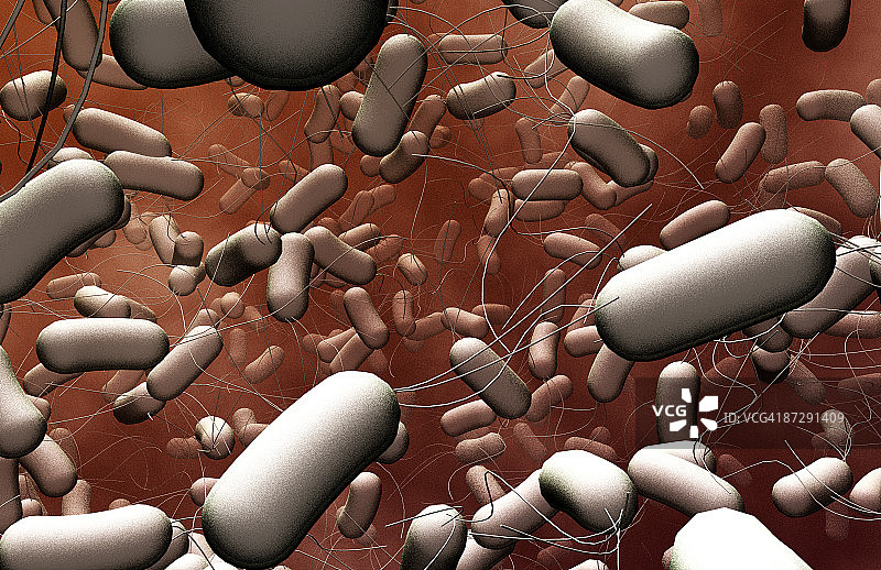 沙门氏菌图片素材