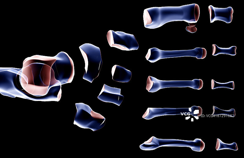 足部骨骼图片素材