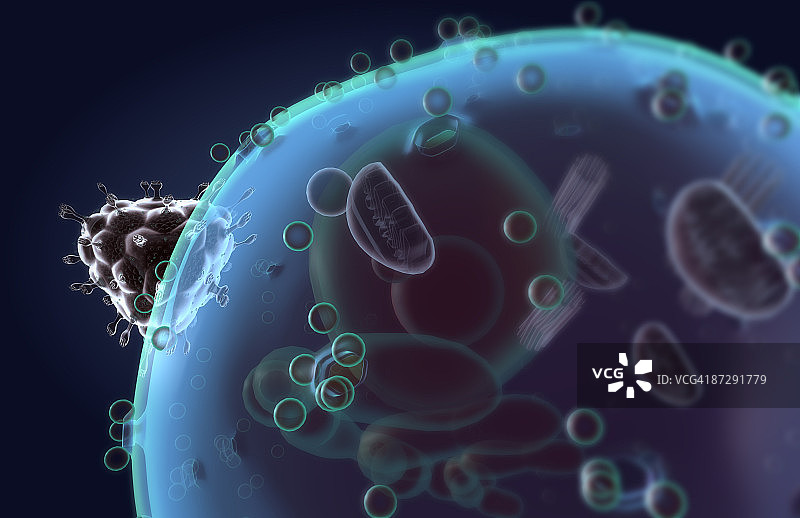 艾滋病毒细胞融合图片素材