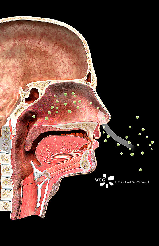 花粉热图片素材