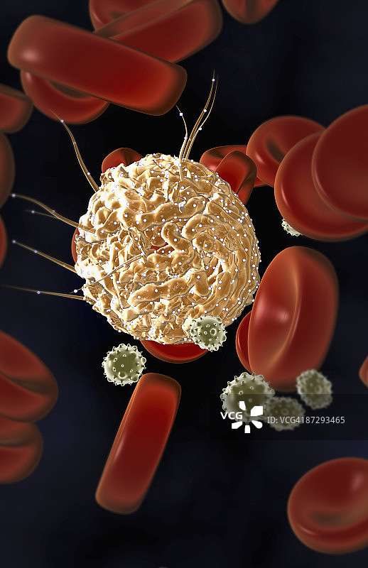 干细胞图片素材