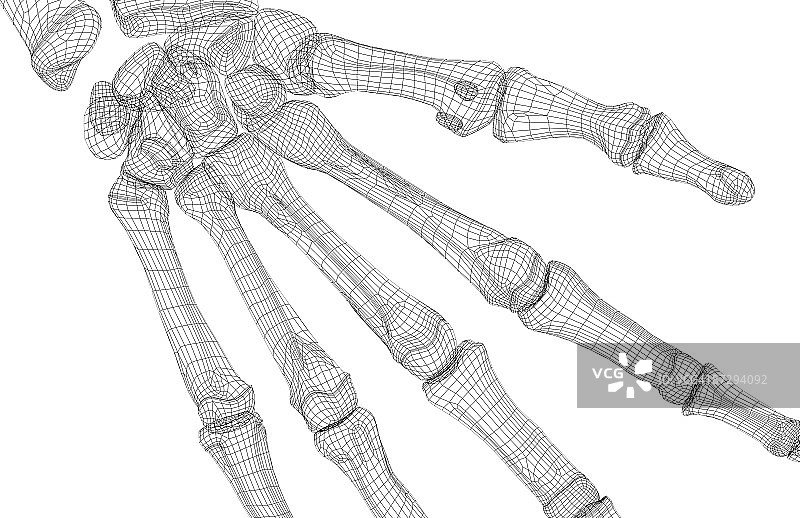 手腕骨骼图片素材