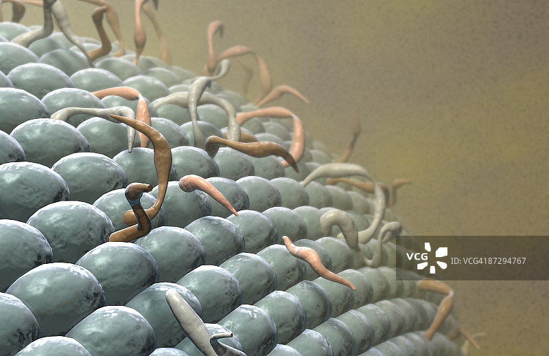 细胞膜图片素材