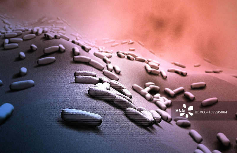 杆状细菌图片素材