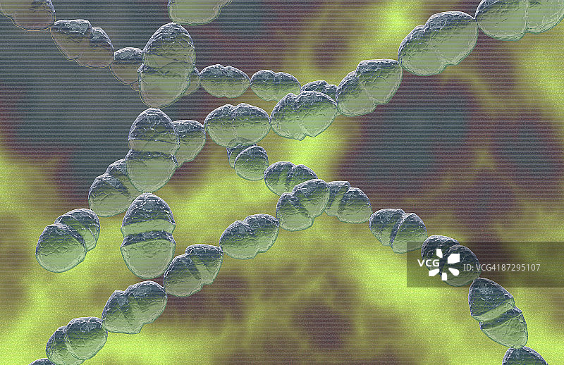 链球菌图片素材