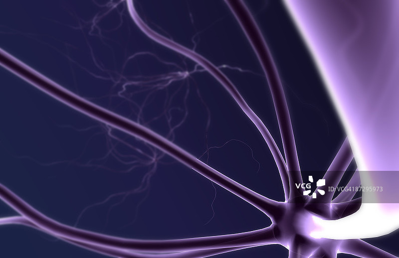 神经元图片素材