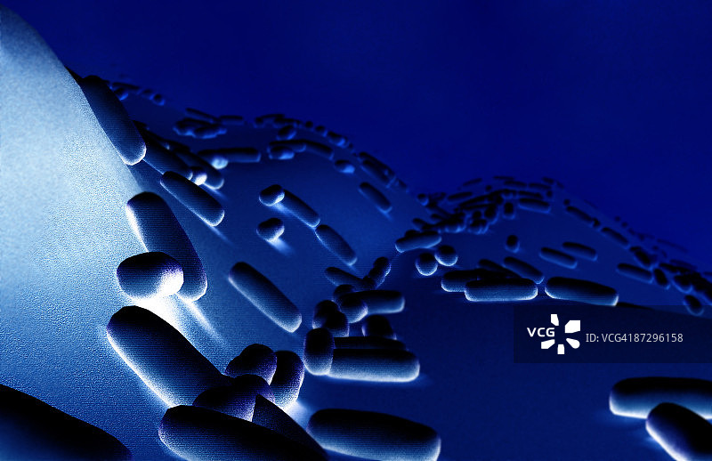 杆状细菌图片素材