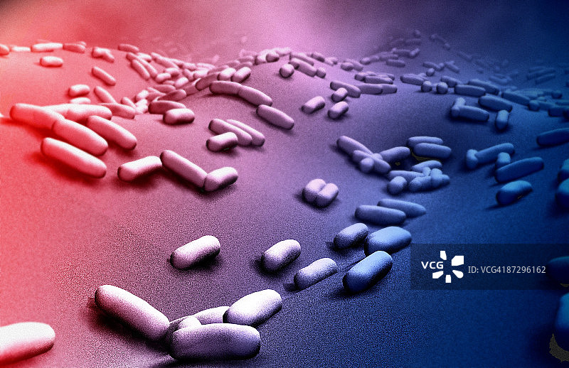 杆状细菌图片素材