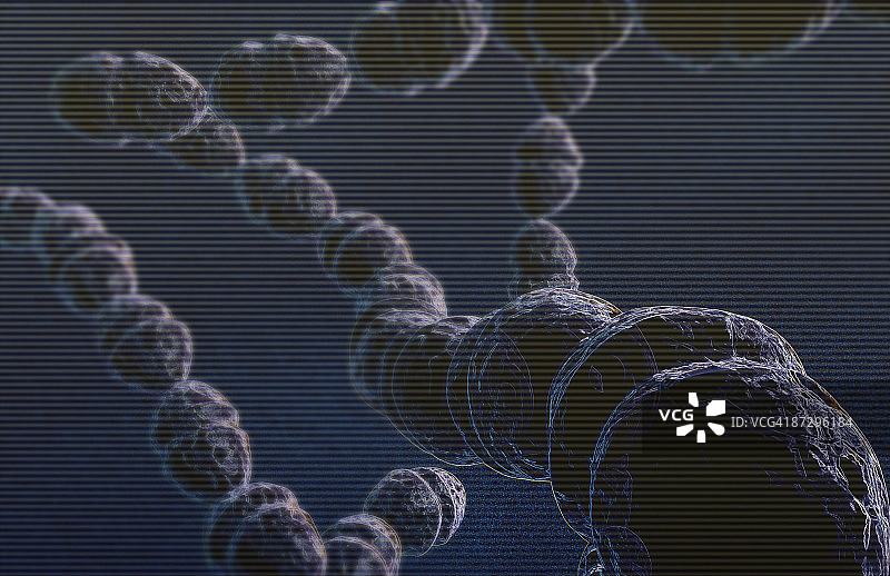 链球菌图片素材