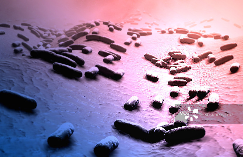 杆状细菌图片素材