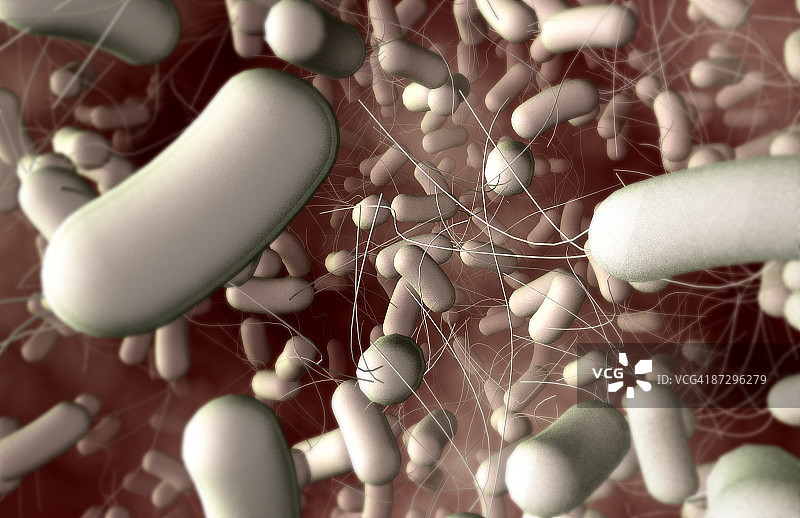 沙门氏菌图片素材