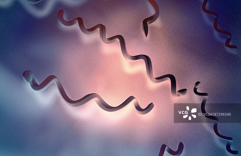 梅毒螺旋体图片素材