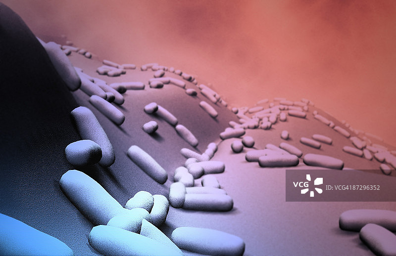 杆状细菌图片素材