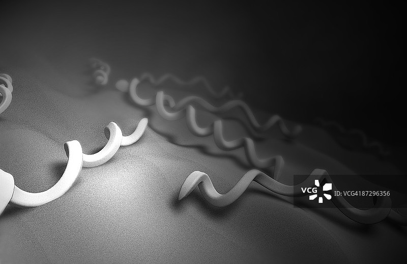 梅毒螺旋体图片素材