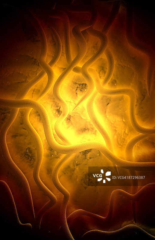 莱姆病细菌图片素材