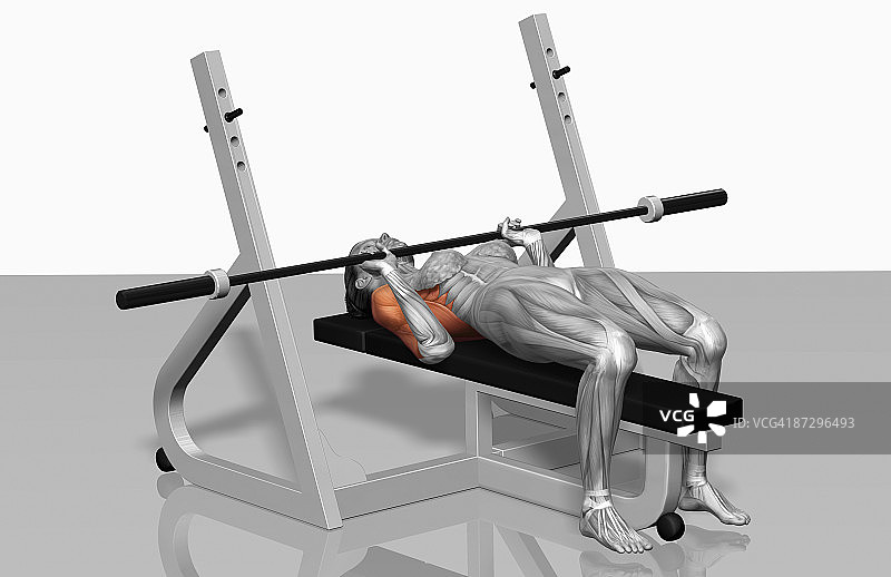 卧推（2之2）图片素材