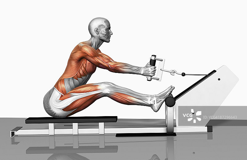 绳索划船运动（第二部分）图片素材