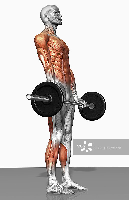 罗马尼亚硬拉（2之2）图片素材