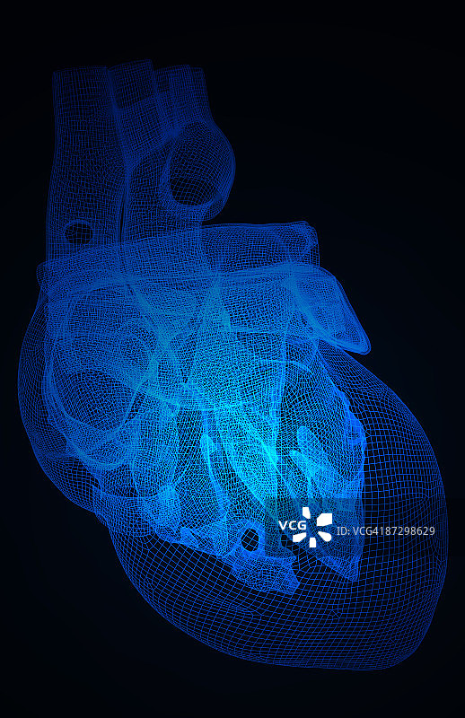 心脏图片素材