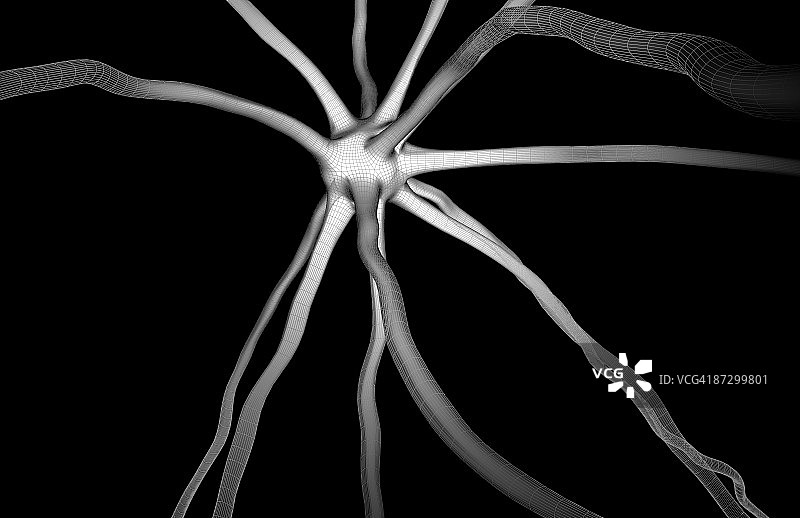 神经元图片素材