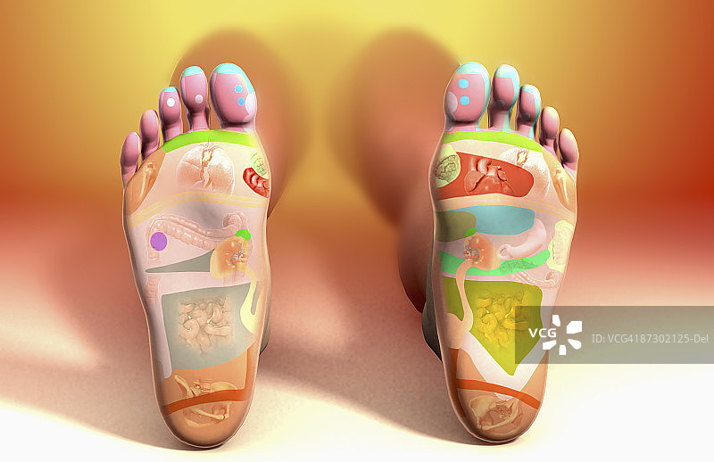 足部反射疗法图图片素材