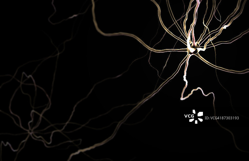神经元图片素材
