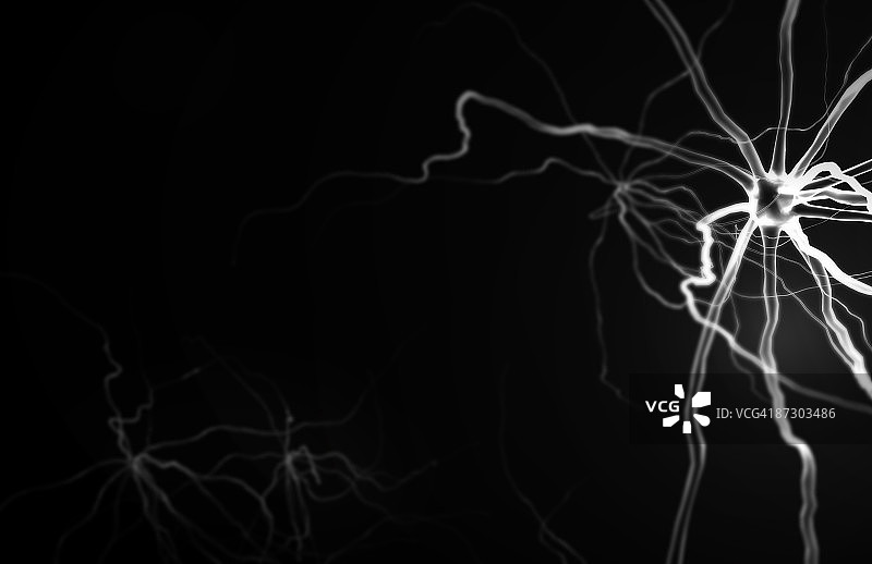 神经元图片素材